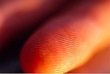 《侏罗纪世界：进化3》开发商介绍恐龙家族遗传系统